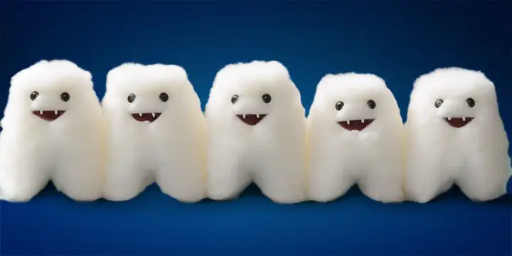 set of happy furry teeth caused by bacteria Melbourne dentist